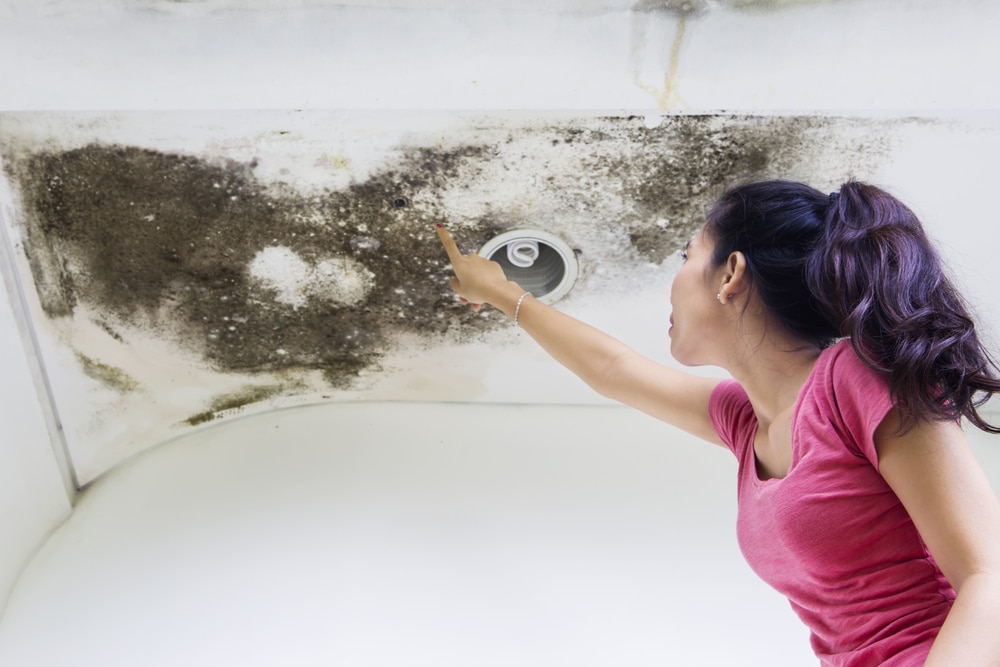 The Dangerous Impact Of Having Mold Inside Your Home